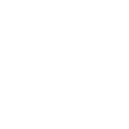 Development and Testing 